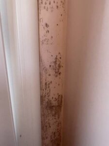 Expertiser des ponts thermiques avec moisissure sur LA BAULE-ESOUBLAC 44500