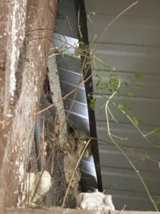 Experise et recherche de fuite en couverture sur Vannes 56000